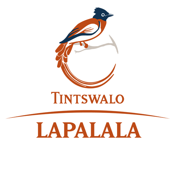 Tintswalo-Lapalala